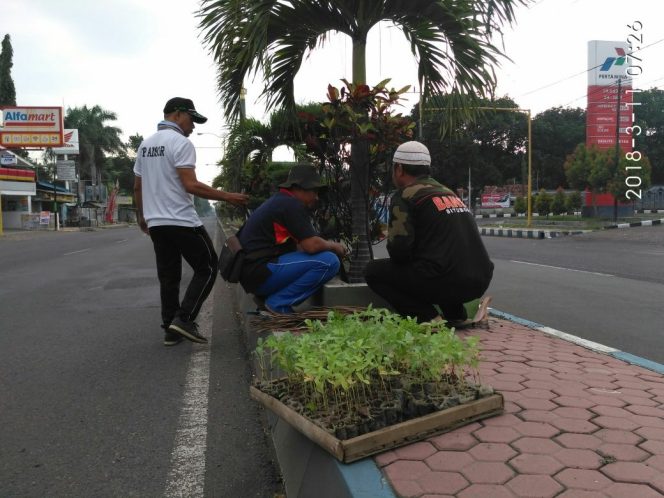 
PAC GP Ansor Kecamatan Panji saat menanam bunga di sepanjang ruas jalan