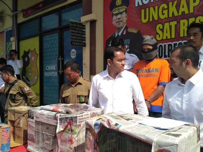 
Warga Mojokerto Ditangkap Polresta Sidoarjo lantaran jual burung cendrawasih tanpa surat ijin