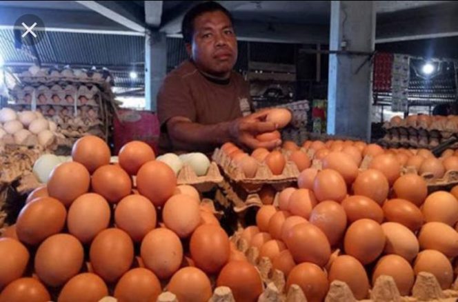 
Foto penjual telur (sumber: istimewa)