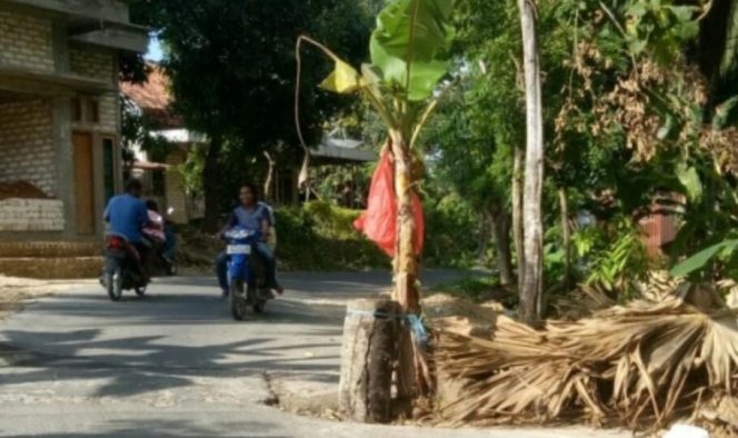 
Ambles, Jalan Poros Kecamatan di Sumenep Hampir Putus