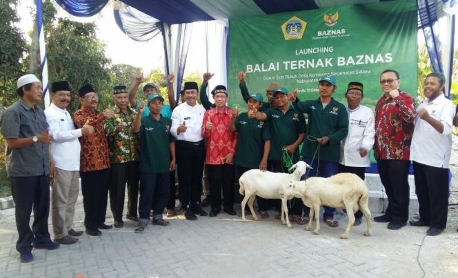 
Balai Ternak Kambing Pertama di Jawa Timur Ada di Gresik