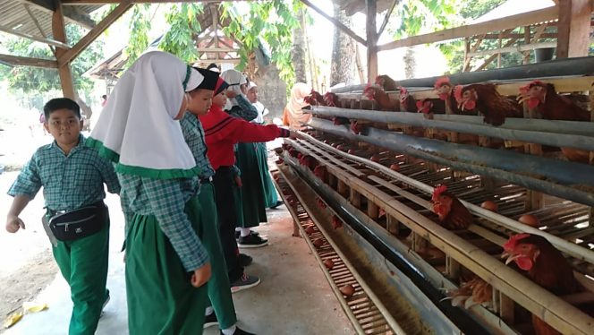 
“Outing Class”, Cara Anak SD As Salam Mengenal Profesi Petani Sayur dan Peternak Ayam Petelur