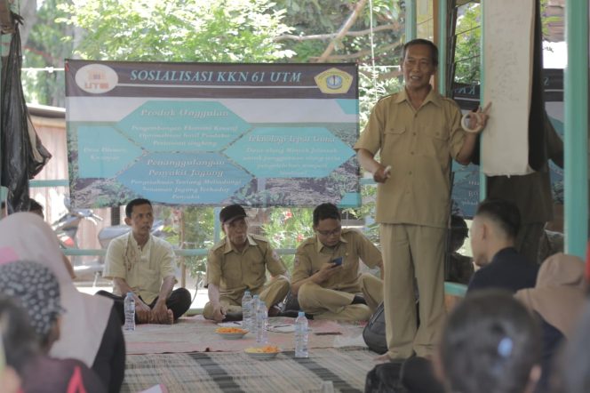 
Pengabdian Masyarakat, Mahasiswa UTM Bersama BPP Kwanyar Sosialisasikan Pencegahan Hama Jagung Pada Petani