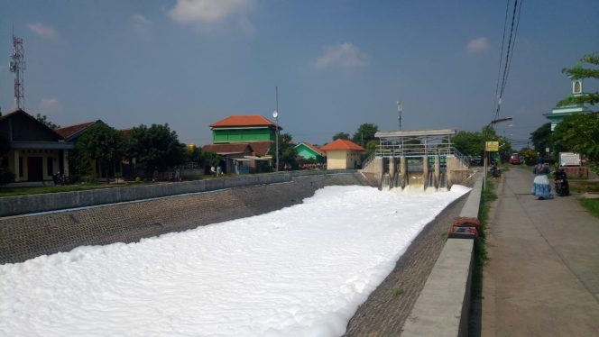 
Sungai Dipenuhi Busa, Plt Bupati Perintahkan DLHK Cek Kondisi Air