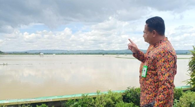 
Bila Padi Fuso Karena Banjir, Petani Bisa Dapat Asuransi AUTP
