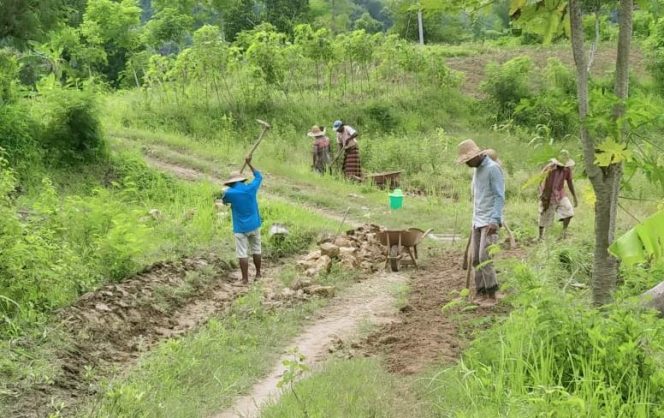 
Dana Desa Belum Cair, Warga Montorna Sumenep Swadaya Perbaiki Jalan Rusak
