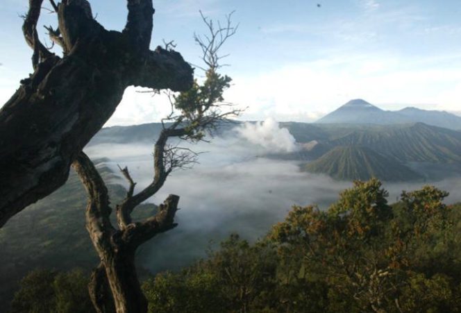 
Dibuka Hari Ini, Khofifah Terapkan Sistem Kuota Wisata Gunung Bromo