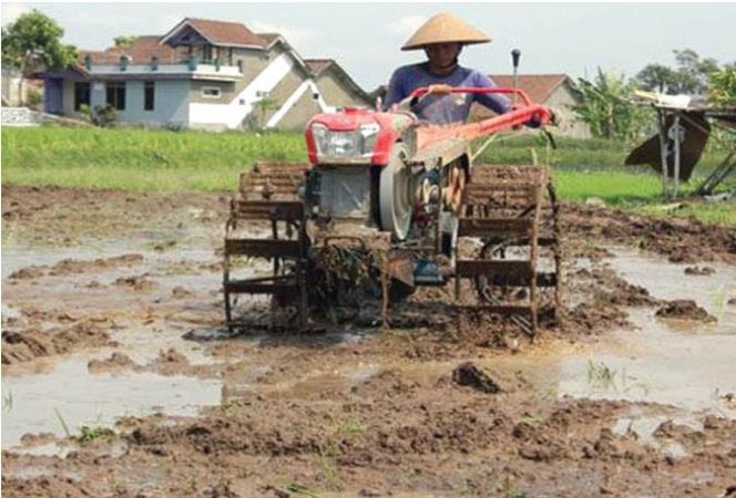 
Tahun Ini Petani di Bangkalan Tak Dapat Bantuan Alsintan