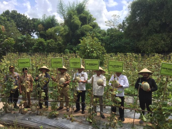 
Mantan Wakil Bupati Bangkalan, Ra Mondir Sukses Kembangkan Budidaya Buah Melon