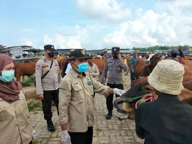 
Penyakit PMK Mengancam, Pasar Hewan di Sampang Terancam Ditutup