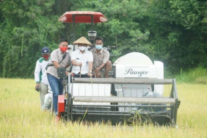 
Pengadaan 3 Unit Combine Harvester Menghabiskan 1 Miliar Lebih Anggaran Dinas Pertanian Bangkalan