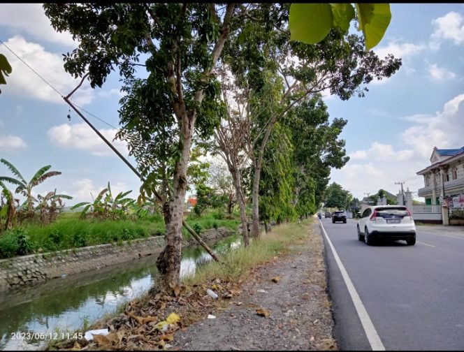 
Membahayakan, Lampu PJU Disepanjang Jalan Halim Perdana Kusuma Bangkalan Banyak yang Rusak Bahkan Tumbang