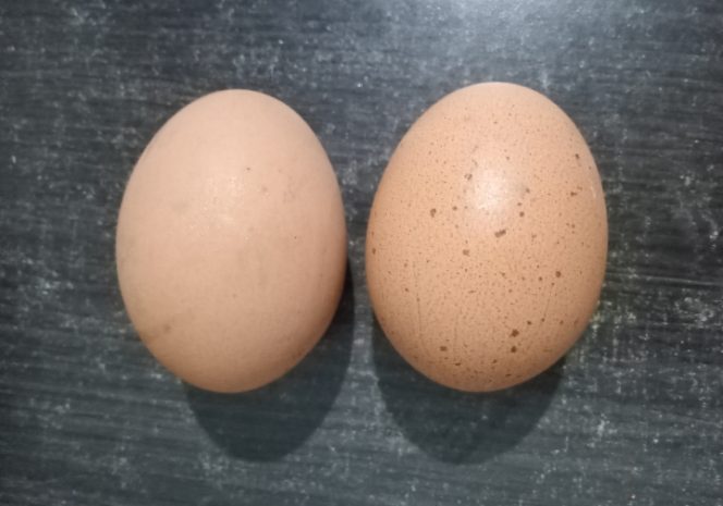 
Harga Telur dan Daging Ayam di Jatim Meroket