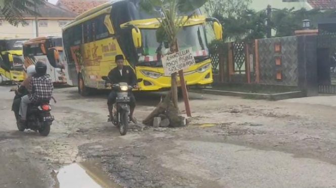 
Jalan Rusak Tak Kunjung Diperbaiki, Warga Protes Pasang Pohon Pisang Ditengah Jalan