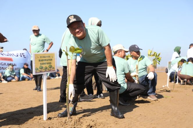 
Pj Bupati Sampang Turut Serta Menanam 24 Ribu Mangrove di Pantai Damar Wulan